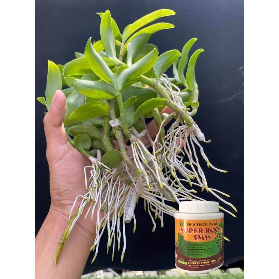 Phân bón lá kích thích ra rễ SUPER ROOT 3MW TD - chai 100 gram
