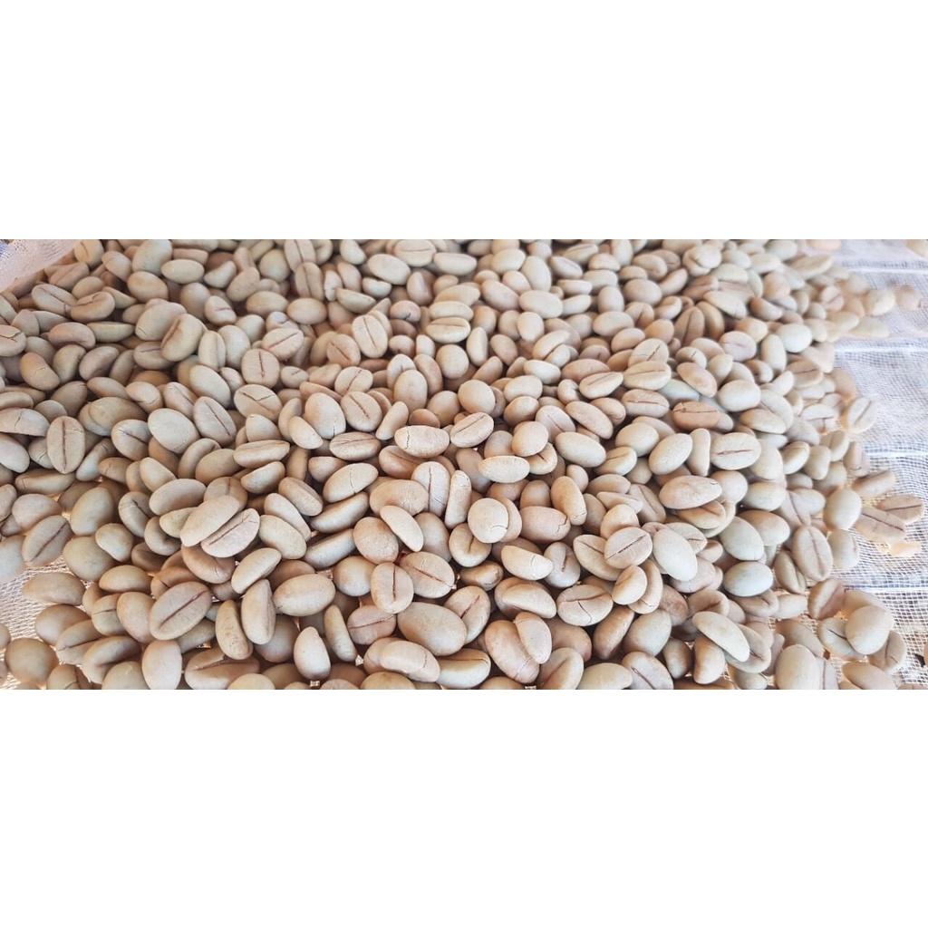 1 KG Hạt giống Cà Phê Vối cao sản TR4