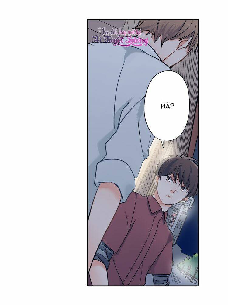 18, sống chung cùng nhau chapter 36 6