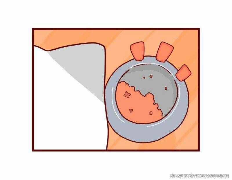 saphie: chú mèo một mắt chapter 8 4