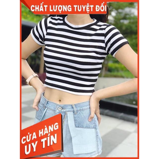 ÁO CROPTOP SỌC THUN GÂN XUẤT DƯ- ảnh thật tự chụp