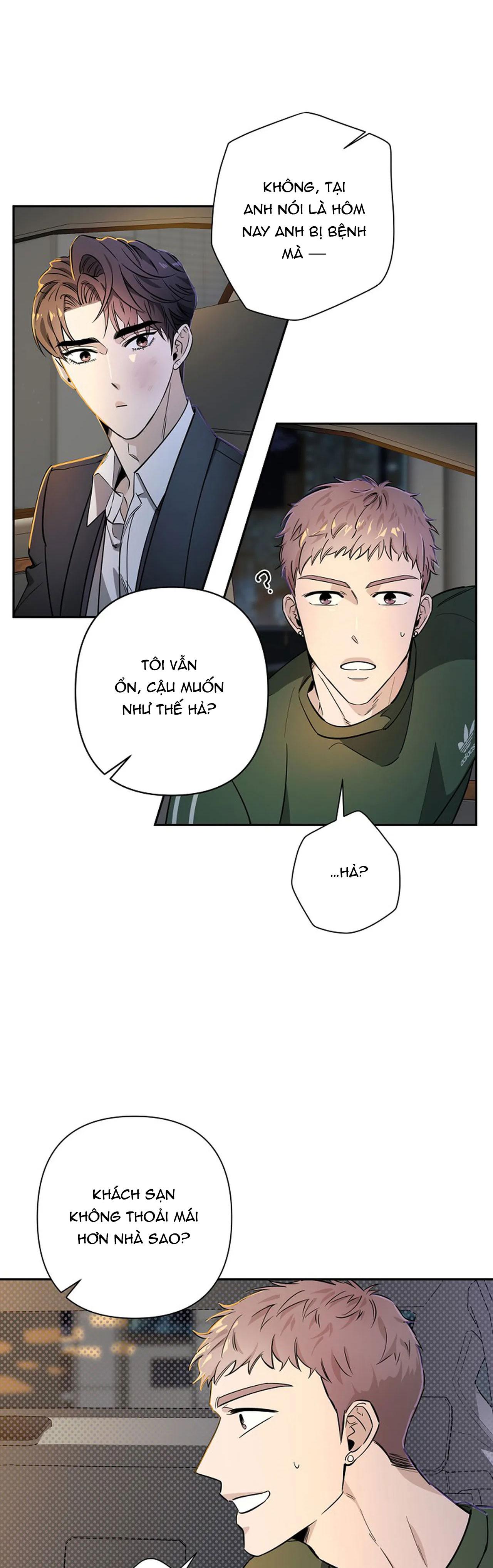 đêm dịu dàng chapter 20 18