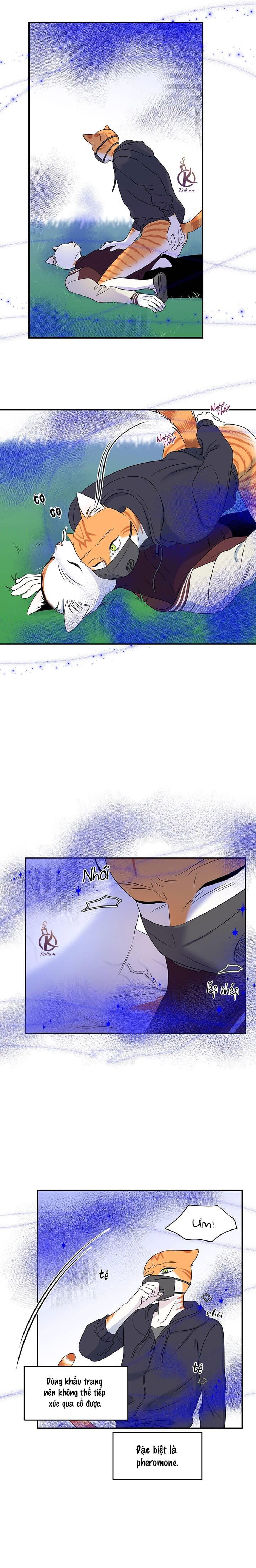 dự án xanh chapter 33 18