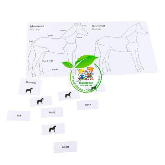 Bộ thẻ học 3 phần động vật (Animal Puzzle Activity Set)