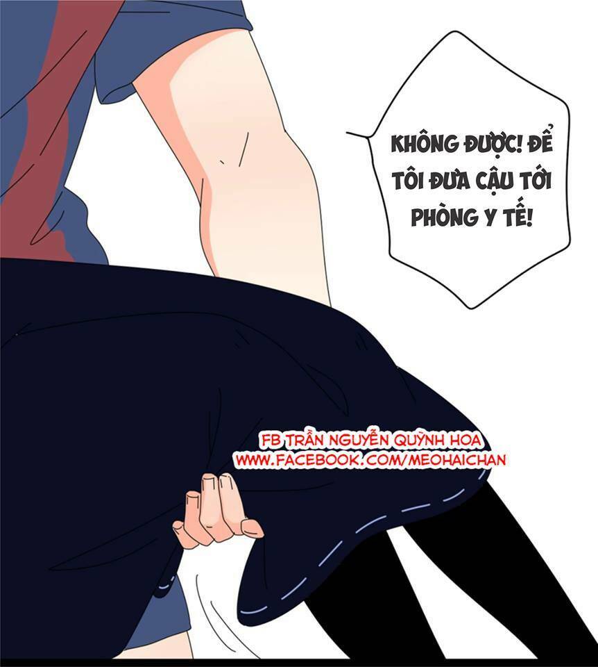 quỷ nhát gan và mã đại cáp chapter 1 36