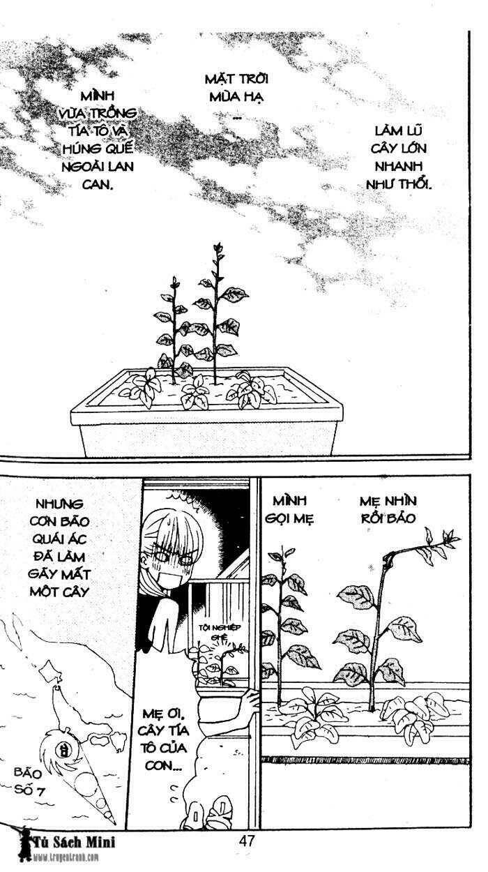 tình yêu và cuộc sống chapter 24 2