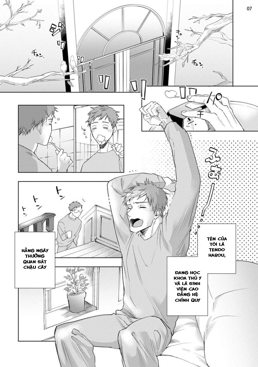 ca ngợi ác ma đại nhân chapter 6.1 8