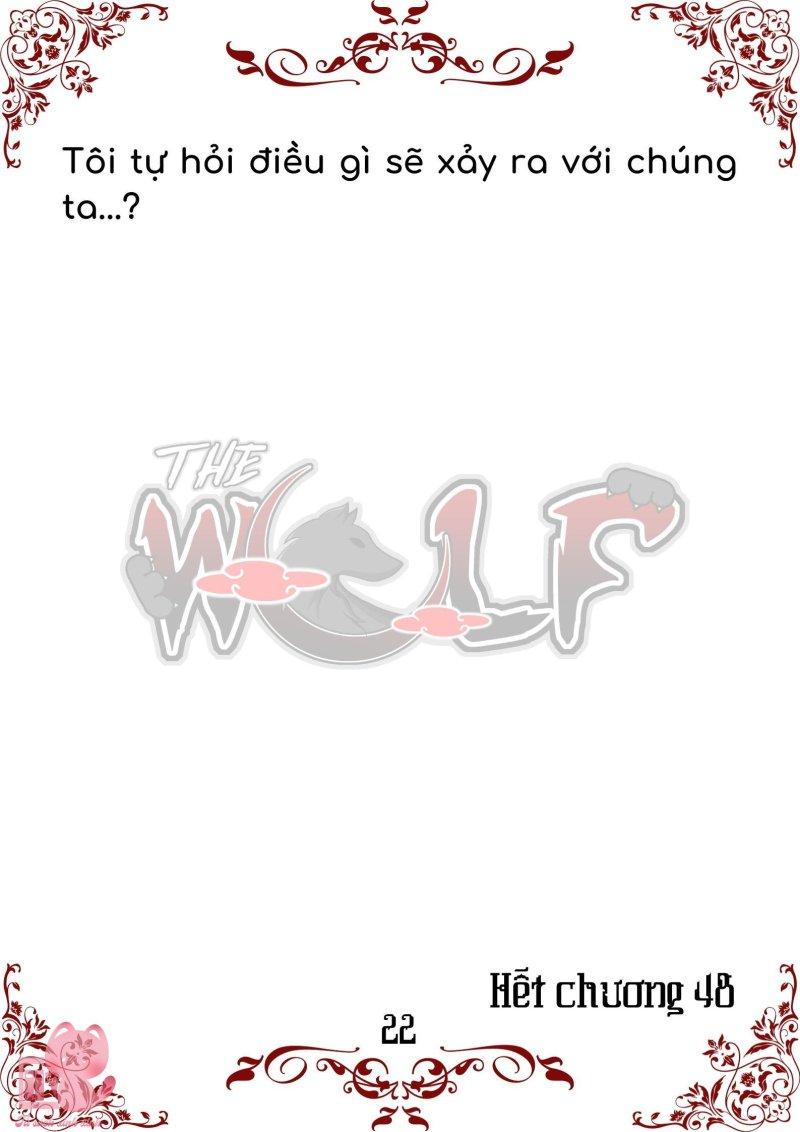 bầy sói giữa dane chapter 48 22