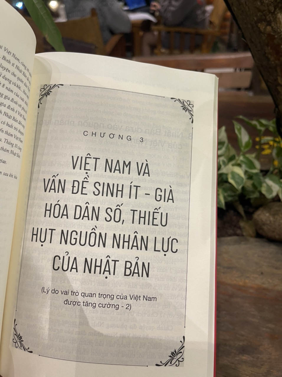 NHẬT BẢN VÀ VIỆT NAM LÀ “ĐỒNG MINH TỰ NHIÊN” - Umeda Kunio – Omega plus - NXB Thế Giới