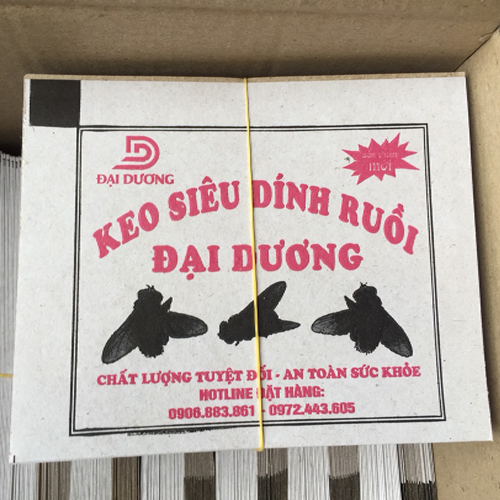 Bộ 10 tấm keo dính ruồi