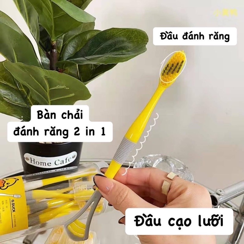 Hộp 8 cây bàn chải con vịt vàng  2 in 1 kèm dụng cụ cạo lưỡi ( phần đuôi)