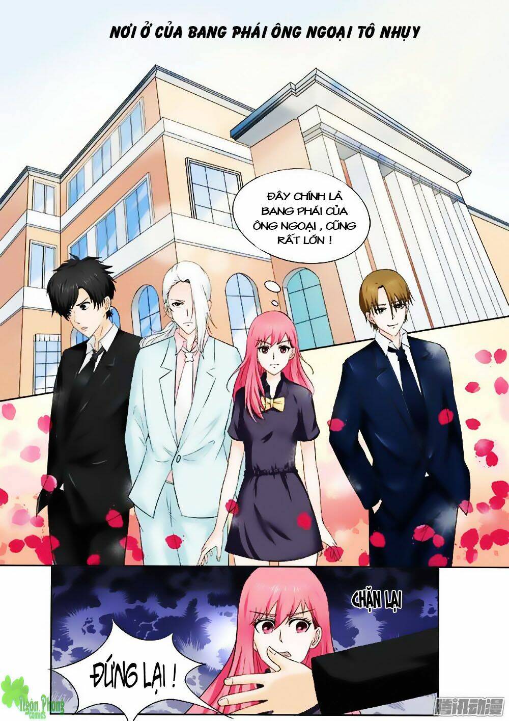 bạn trai hắc đạo của tôi chapter 162 6