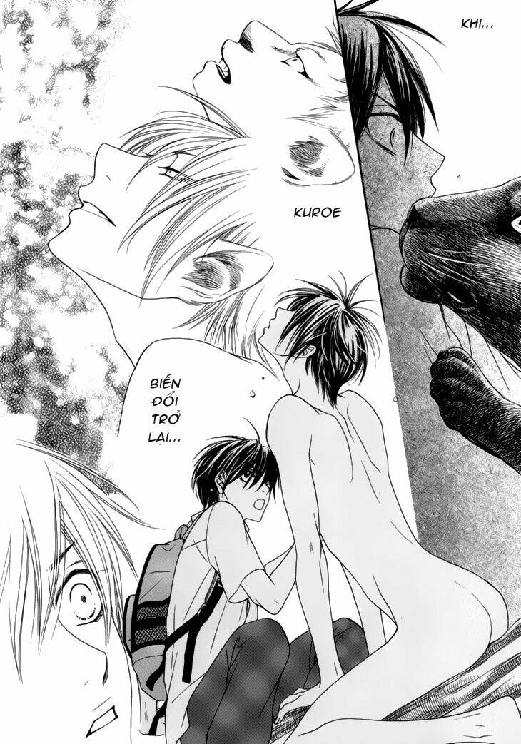 nekoka danshi no shitsukekata chapter 3 31