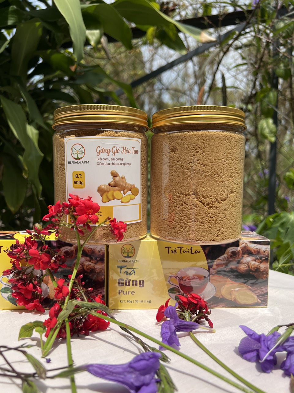 TRÀ GỪNG GIÓ HÒA TAN HERBAL FARM  - 500G