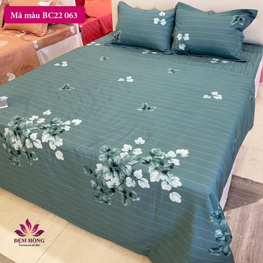 Bộ Chăn Ga Gối Cao Cấp Sông Hồng Basic 100% Cotton Mẫu 2022 - 2023