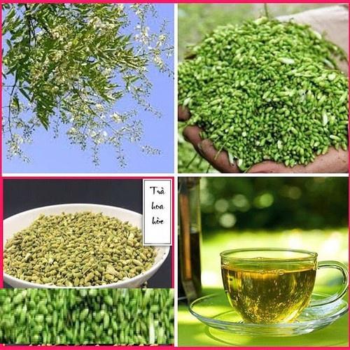 1 bịch hoa hòe khô sạch,hàng tuyển loại 1- nhà tự làm