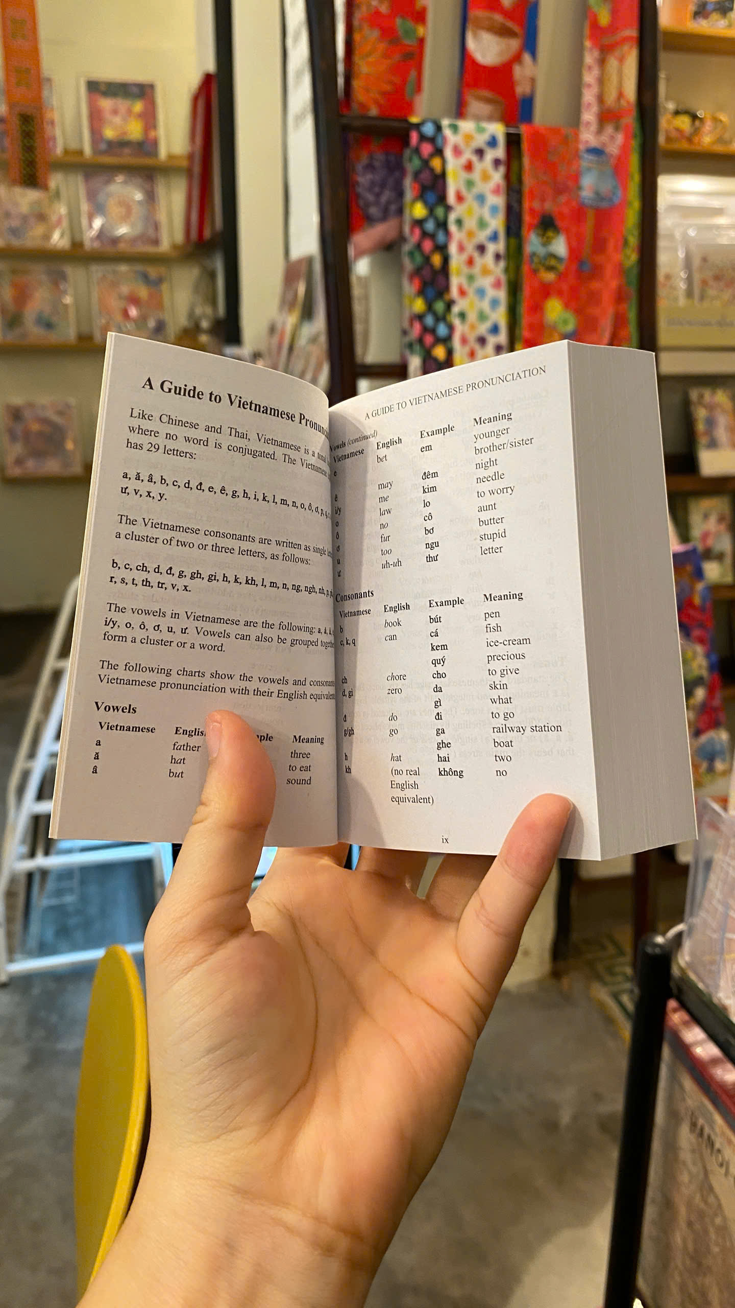 Sách - Pocket English-Vietnamese-English Dictionary | Từ điển Anh Việt / Việt Anh / Khổ nhỏ bỏ túi