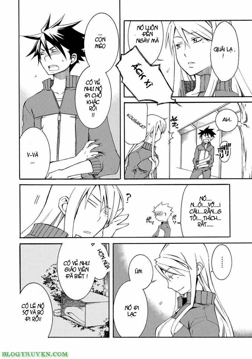 nyankoi! chapter 4 29