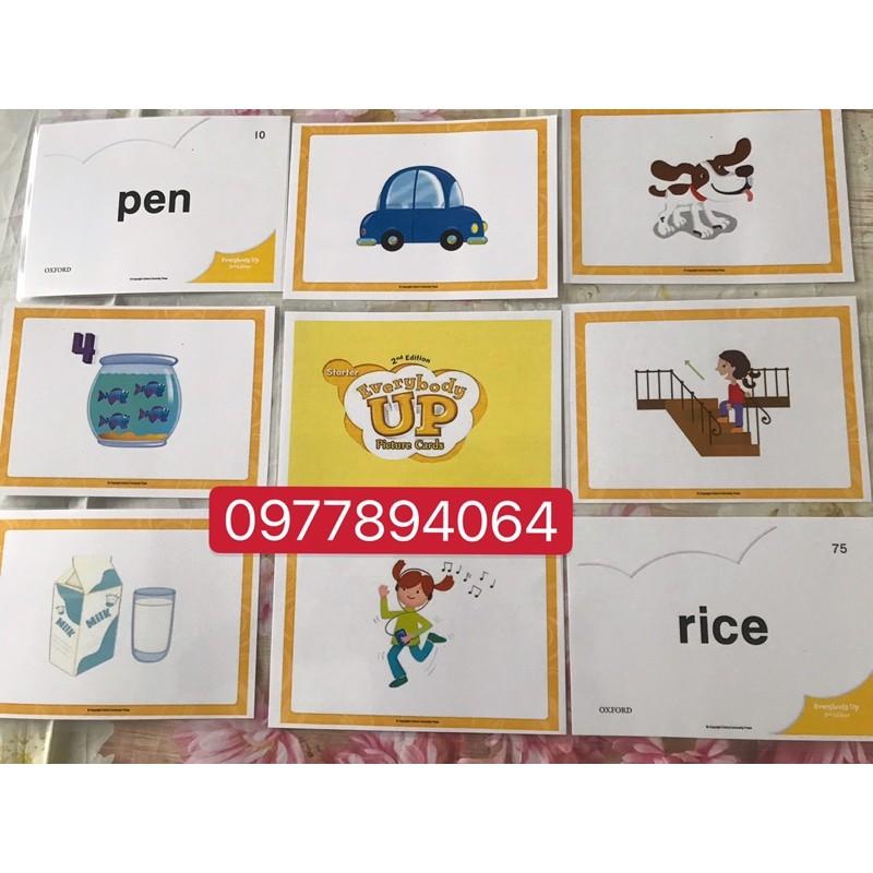 Thẻ Flashcards Tiếng Anh Everybody up stater ép plastics bền đẹp