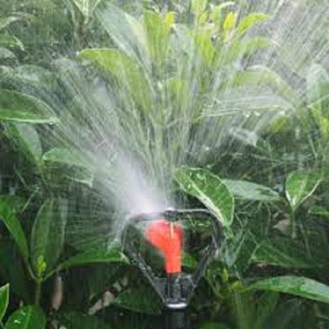 Béc phun mưa cánh bướm trục INOX