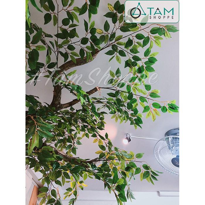 Bó 5 cành lá cây si giả F-CHL-113