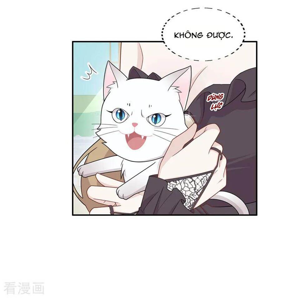 thiên kim bất lương chapter 52 18