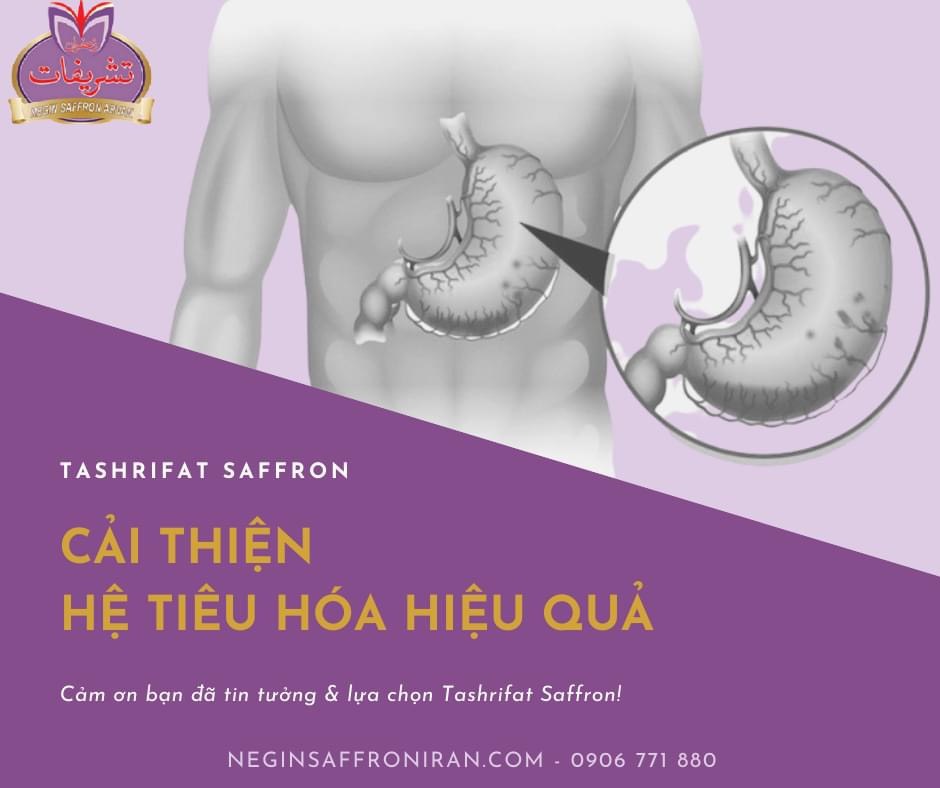 Nhụy hoa nghệ tây Tashrifat Saffron Premium loại Negin sợi to (1 Grams)