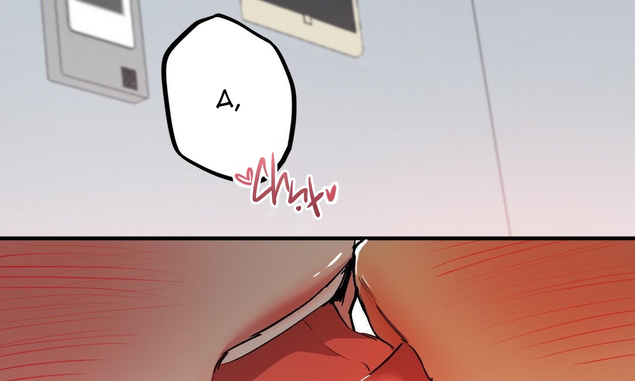 đàn thỏ của habibi chapter 43 78