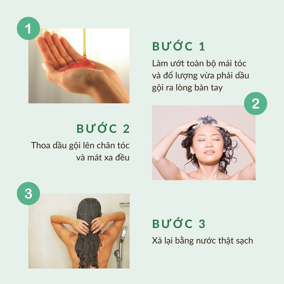 Dầu Gội Phục Hồi Và Nuôi Dưỡng Tóc Hư Tổn Langelica Shampoo Nourishing for Brittle and Damaged Hair 250ml