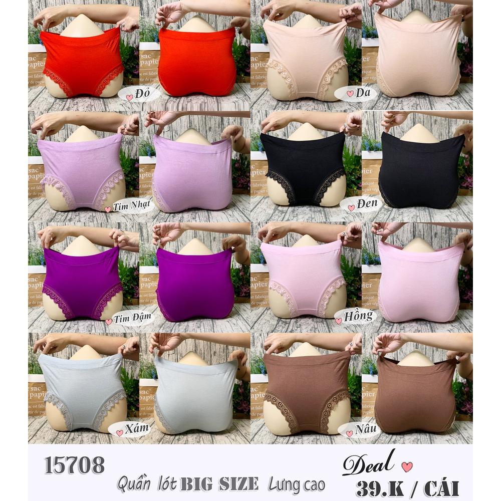 15708 Quần lót chip BIG SIZE lưng cao lai Ren