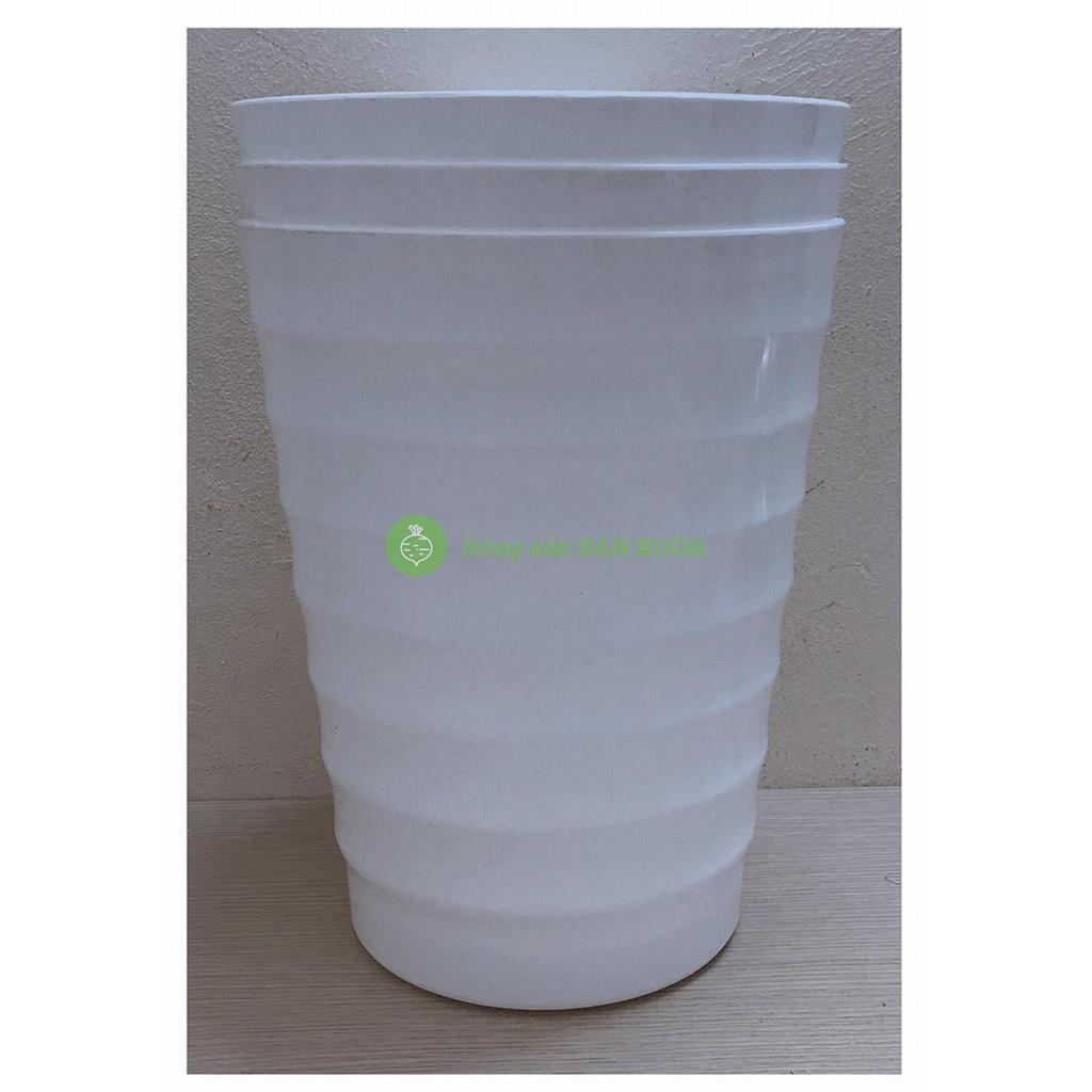 3 Chậu Nhựa Trồng Hoa Cây Cảnh VT 245x167x300 Bình Thuận Plastics