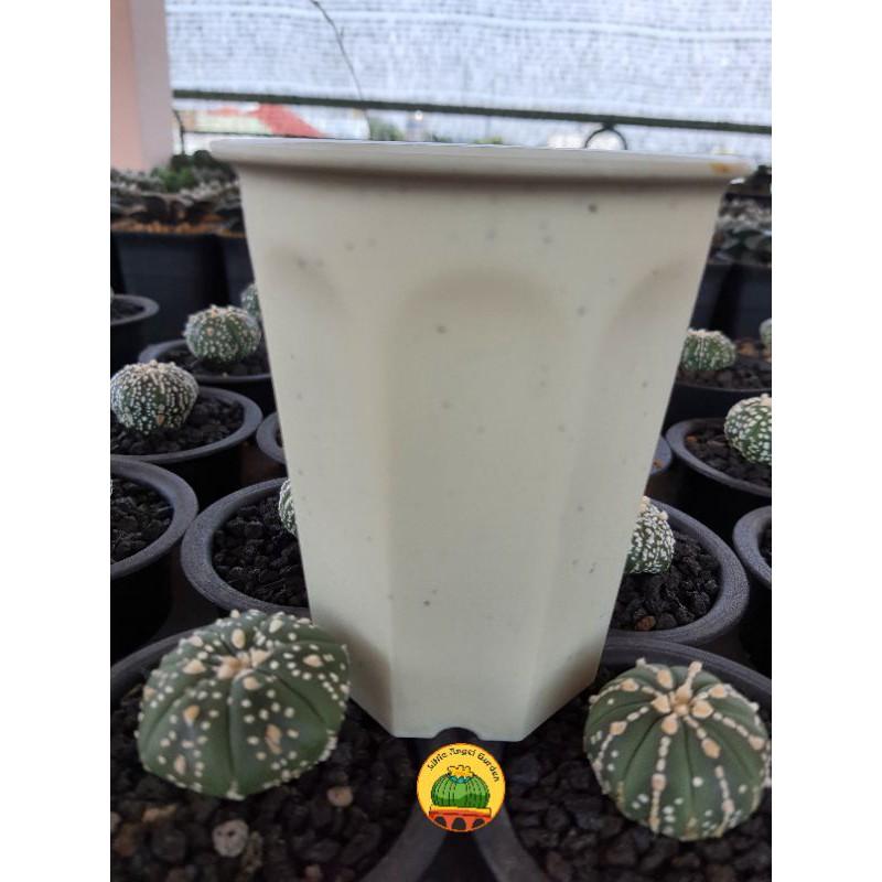 Chậu nhựa giả sứ kích thước 9 * 10.6cm, thích hợp trồng sen đá, xương rồng, haworthia