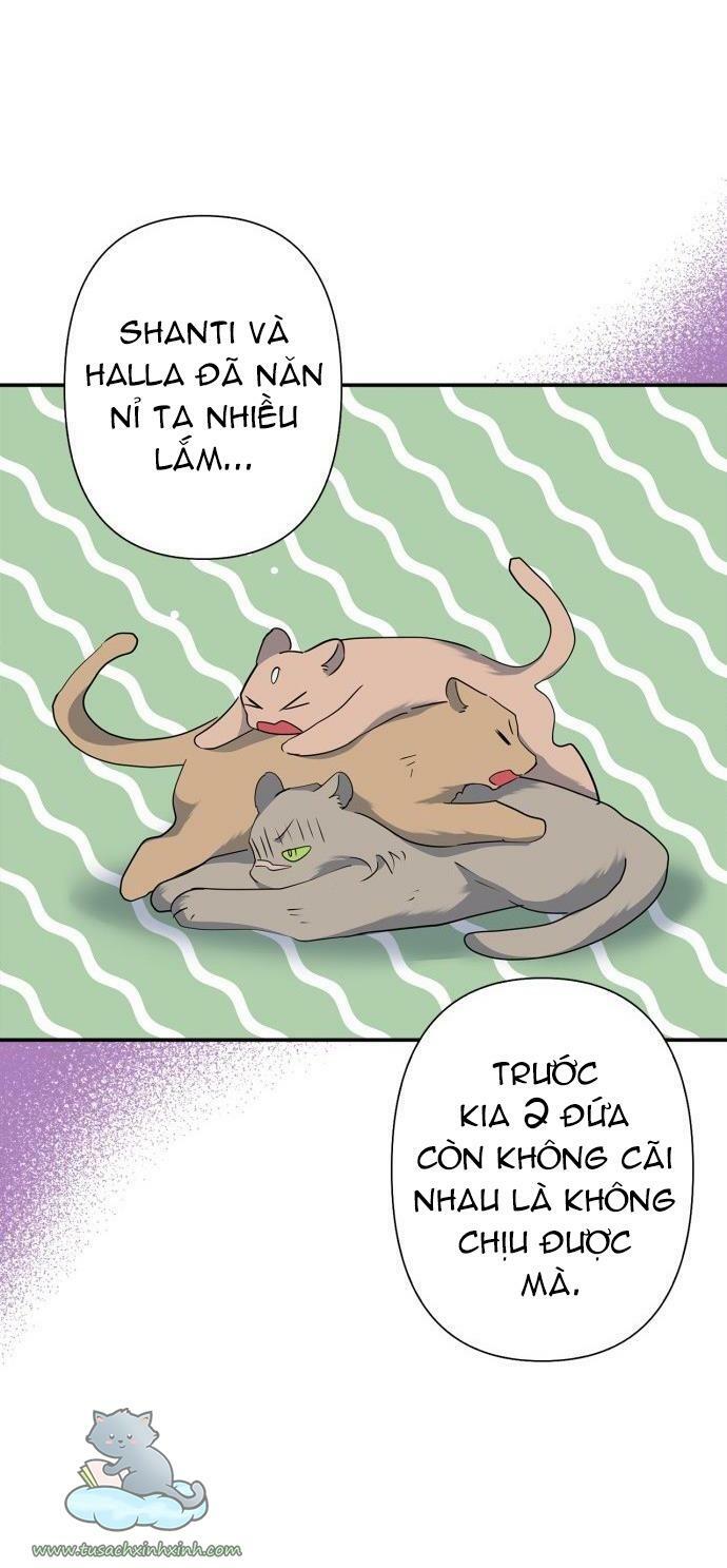 tôi đang nuôi dưỡng một con quái thú chapter 68 60