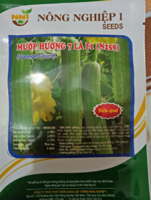 Hạt giống mướp hương