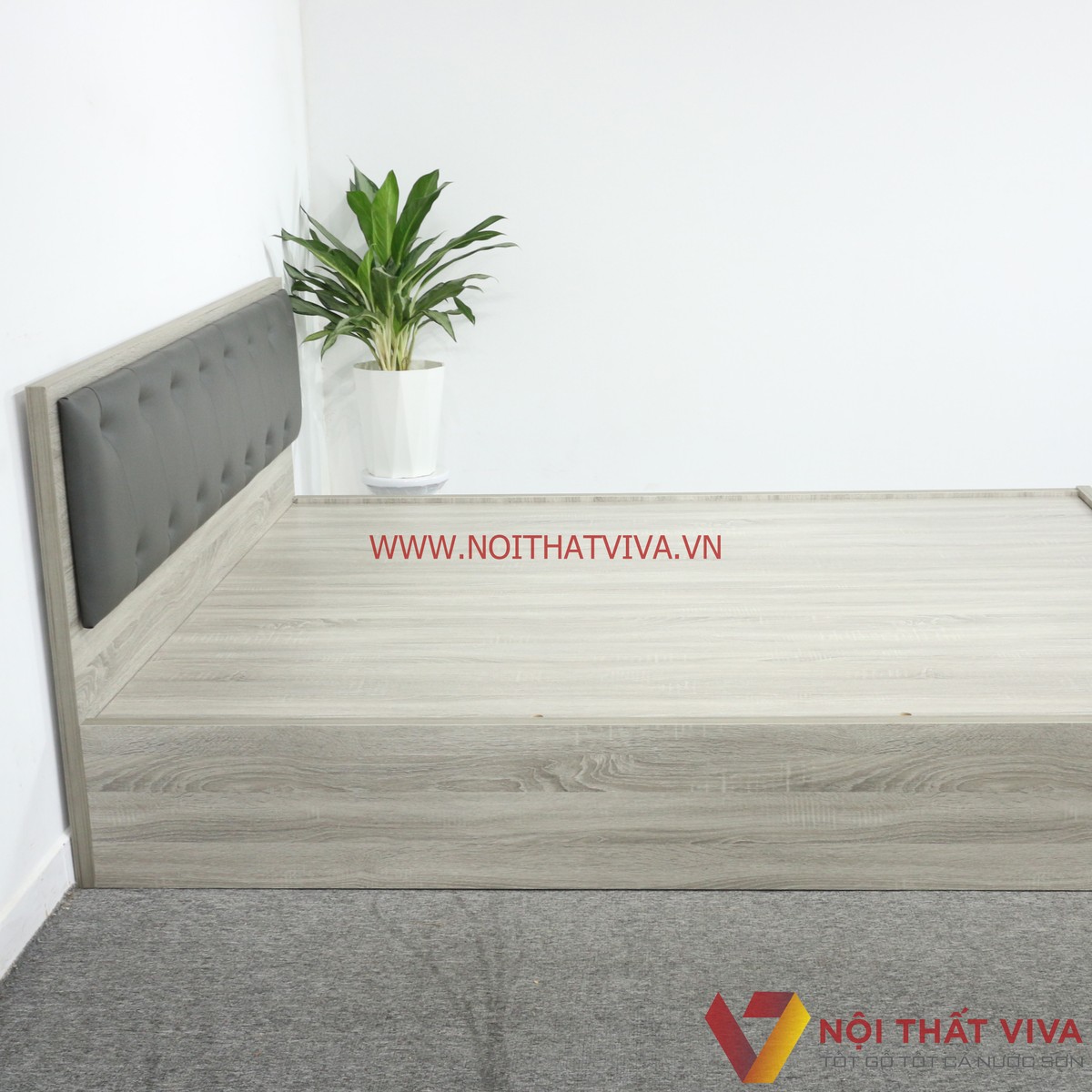 Giường Ngủ Gỗ MDF Melamine Màu Xám Vân Gỗ Có Đầu Nệm Đen Đẹp Hiện Đại