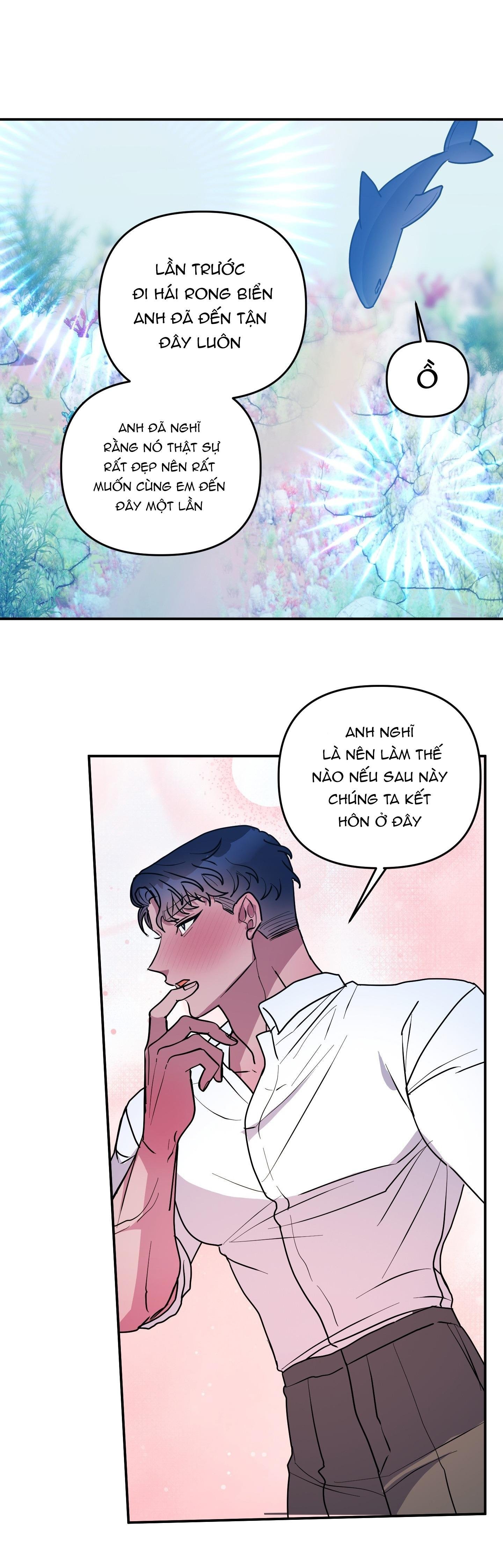 cá mập và cô dâu thỏ chapter 53 33