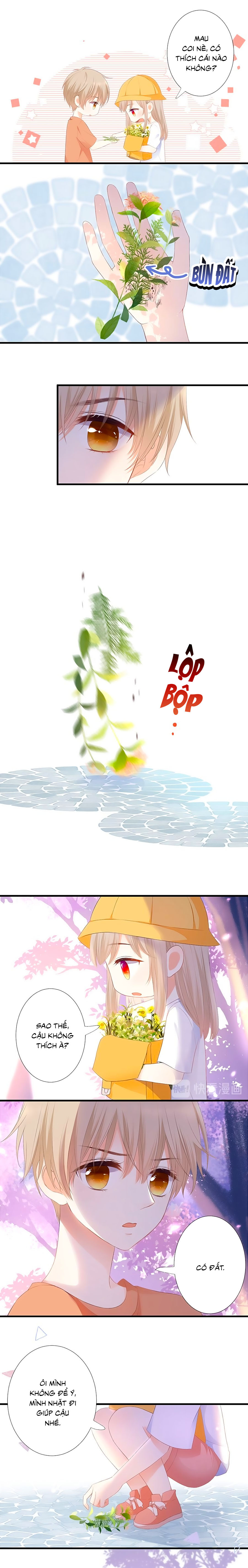 đóa hoa chớm nở chapter 39.6 5