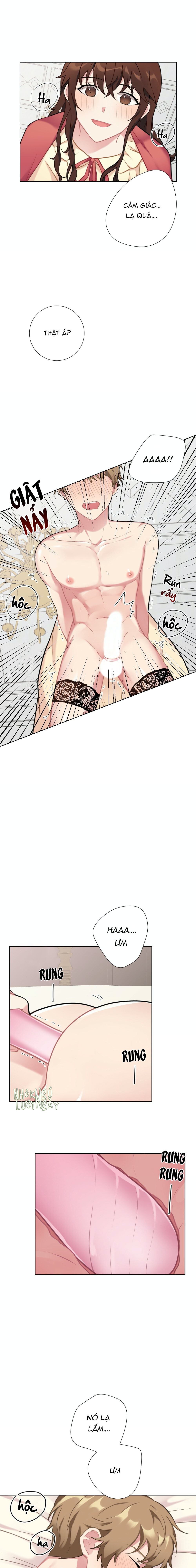 cô chủ và người hầu chapter 8 9