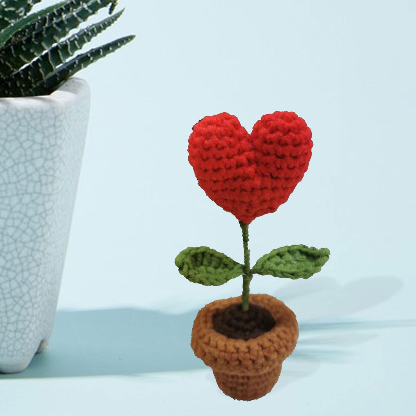2x Handmade DIY Beginner Crochet Kits for Adults and Kids Starters