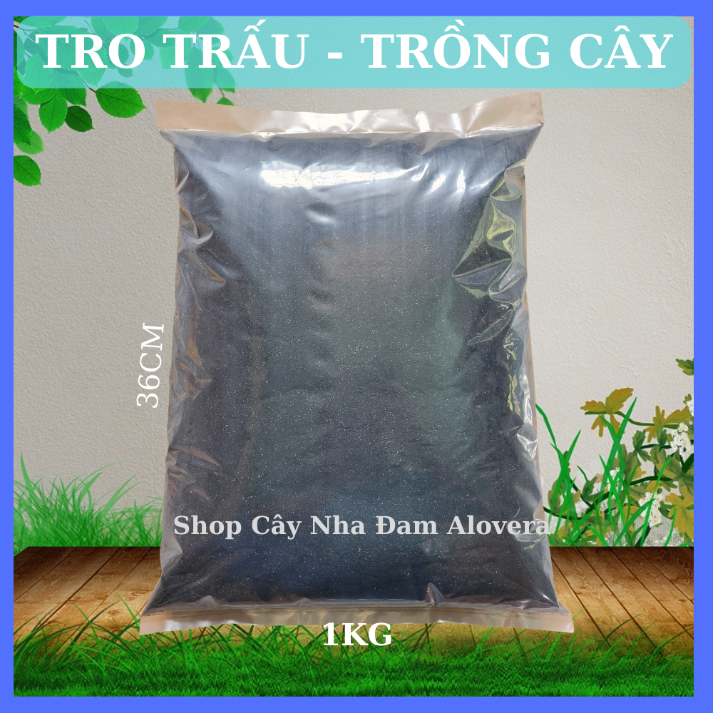 Trấu Hun Trồng Cây