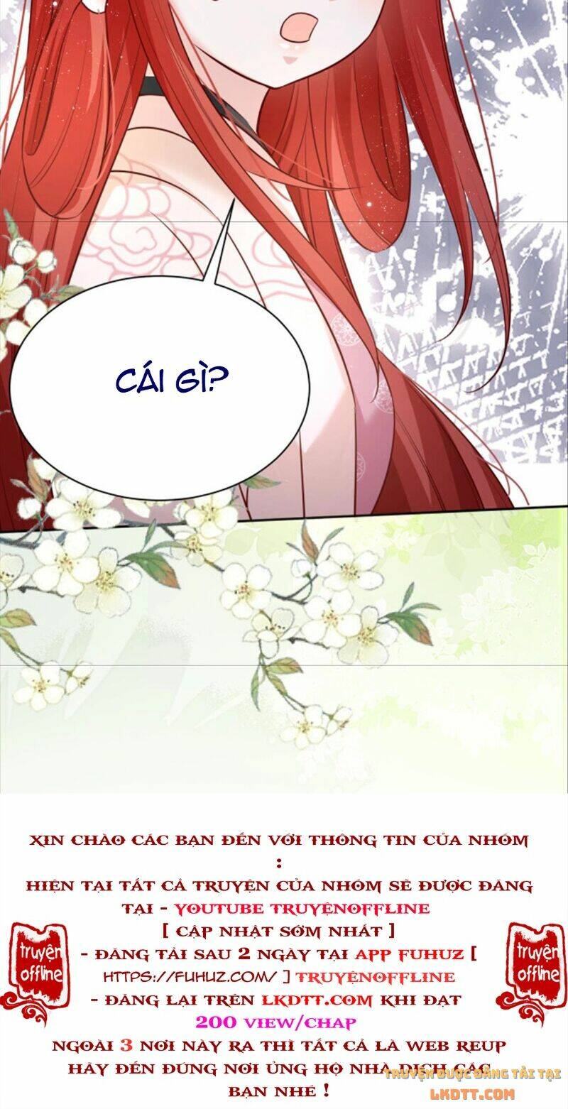 hắc hóa nam chính trực tuyến nuôi thỏ chapter 47 40