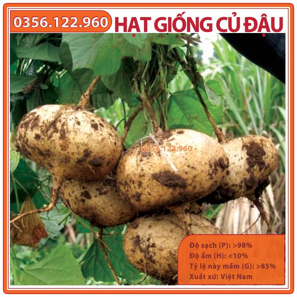 Hạt giống củ đậu cao sản - gói 200g - Hạt đậu chất lượng F1