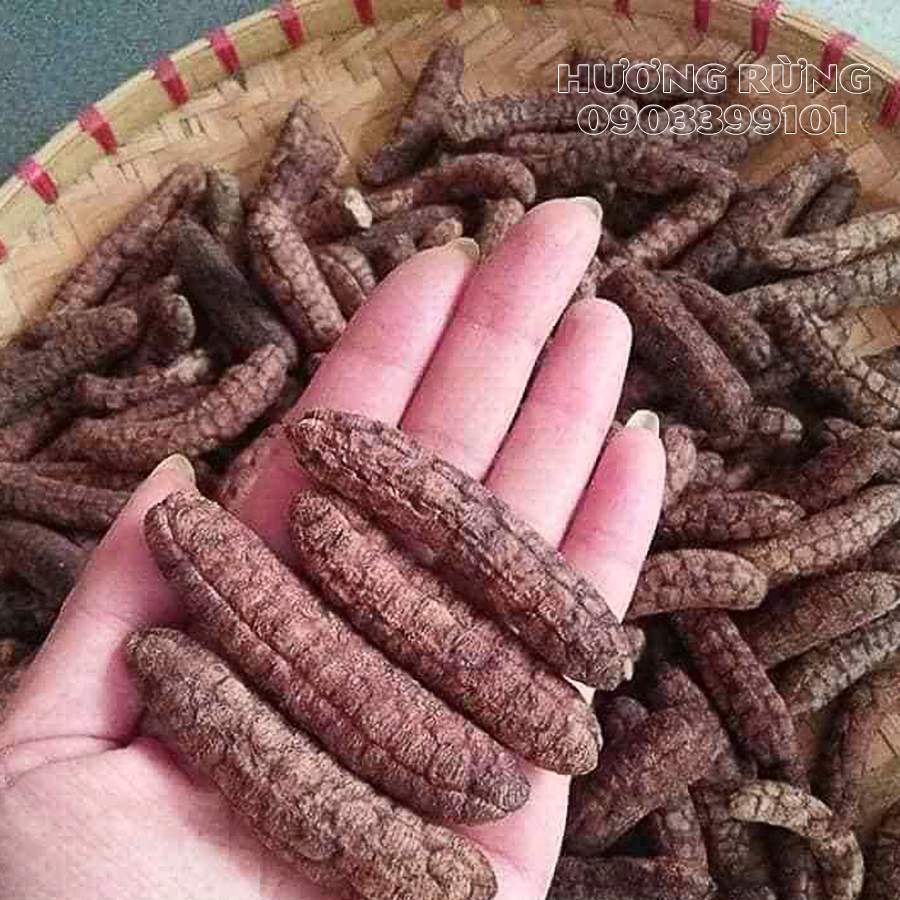 Chuối hột rừng 3kg gốc Tây nguyên, loại ngon xuất khẩu