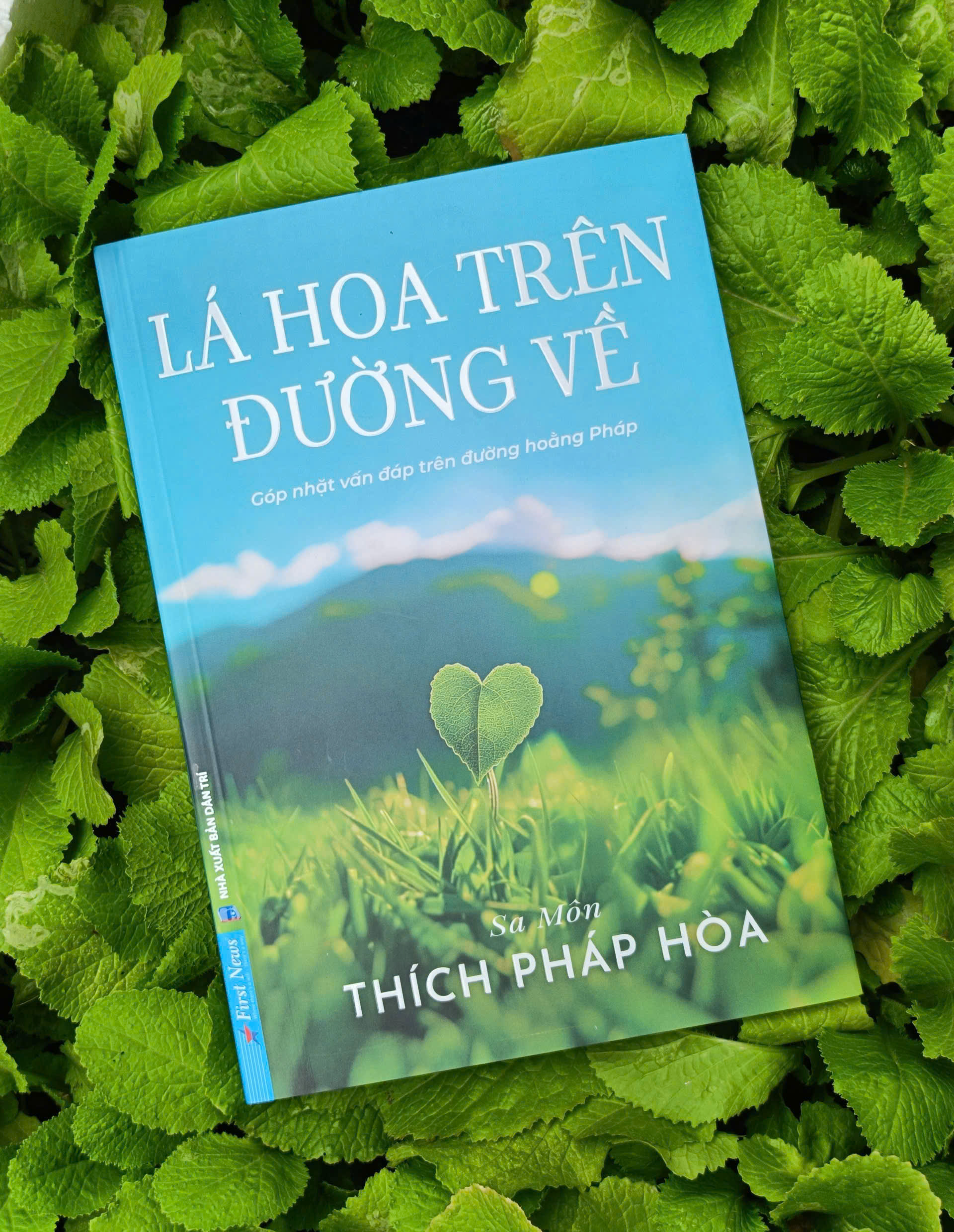 Sách Lá Hoa Trên Đường Về - Thầy Thích Pháp hòa