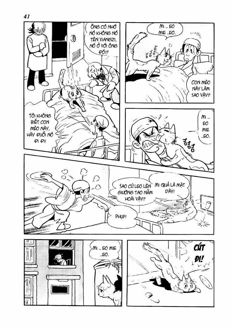 bác sĩ quái dị chapter 61 17