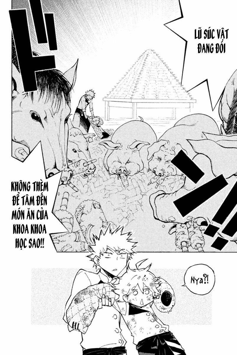 hell’s kitchen chapter 33 41