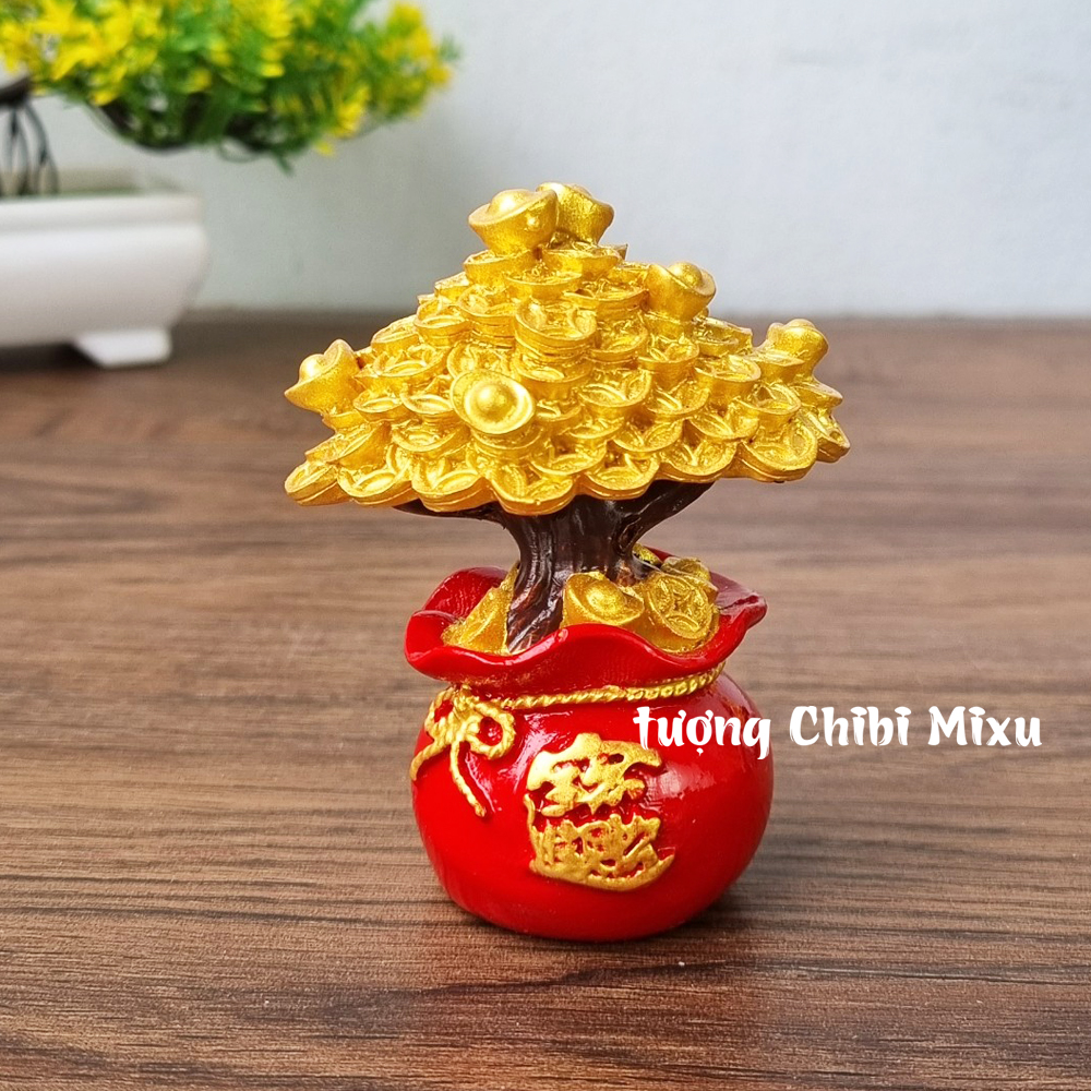 Chậu cây kim tiền size 8cm may mắn tài lộc