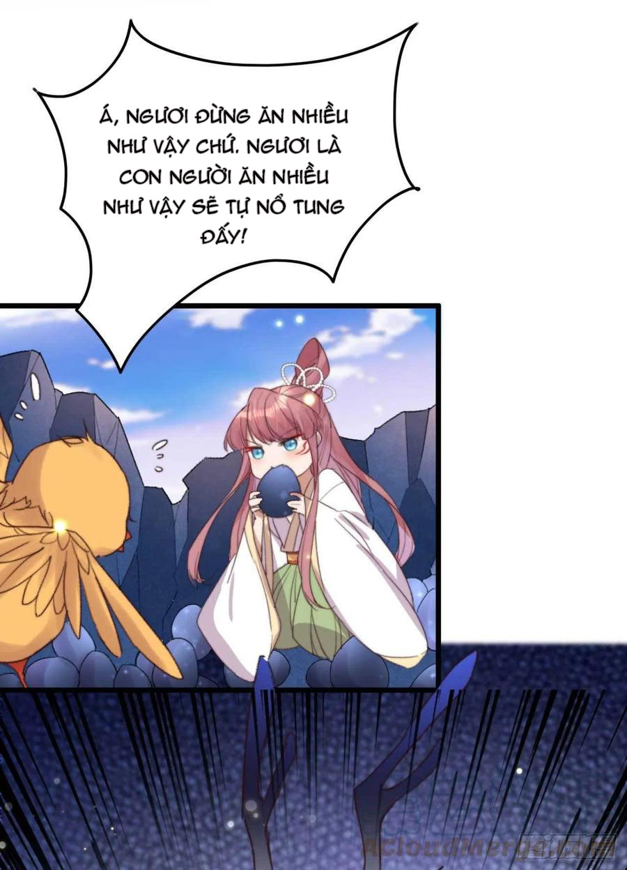 đế tôn cuồng sủng: thần y đặc công phế tài phi chapter 11 16