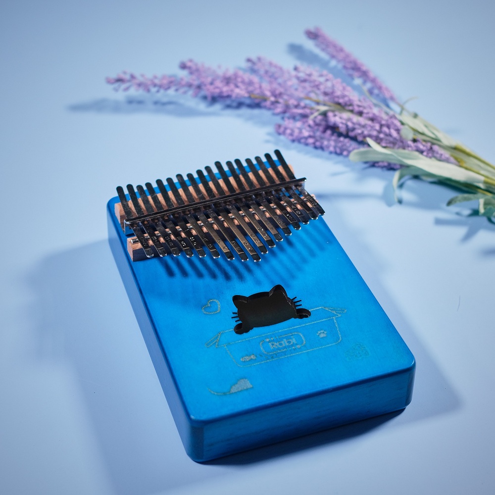 Combo Đàn Kalimba RABI RB05 Túi Chống Sốc K03