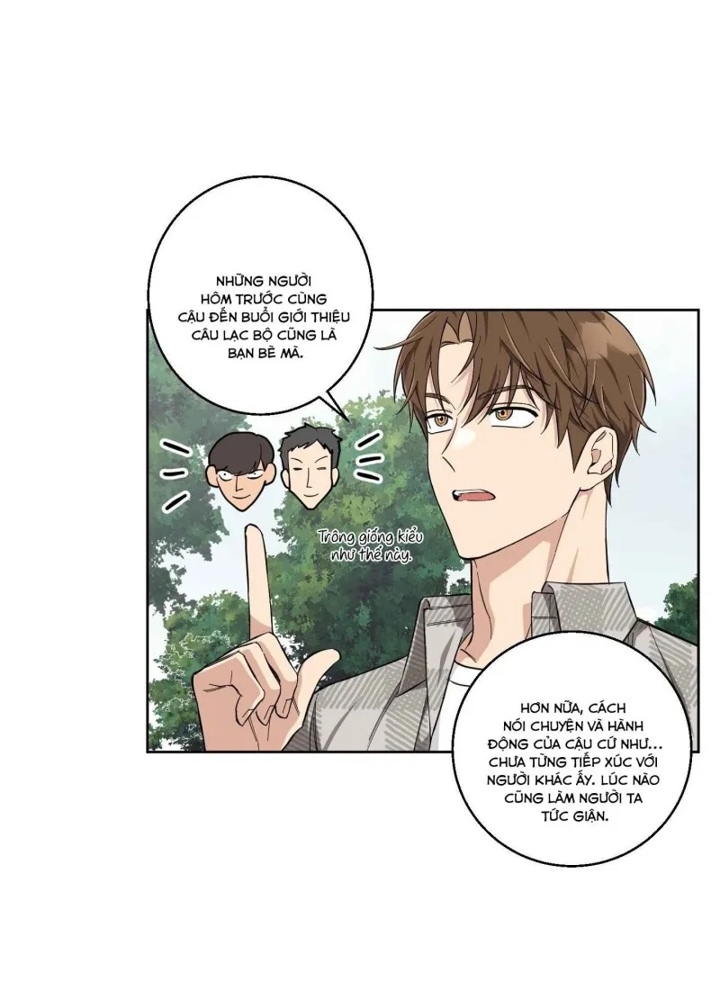 hãy bảo vệ tình yêu thuần khiết! chapter 4 52